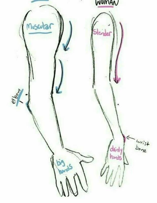 kol nasıl çizilir, ince ve kaslı, erkek ve kadın, çizgi film insanı nasıl çizilir