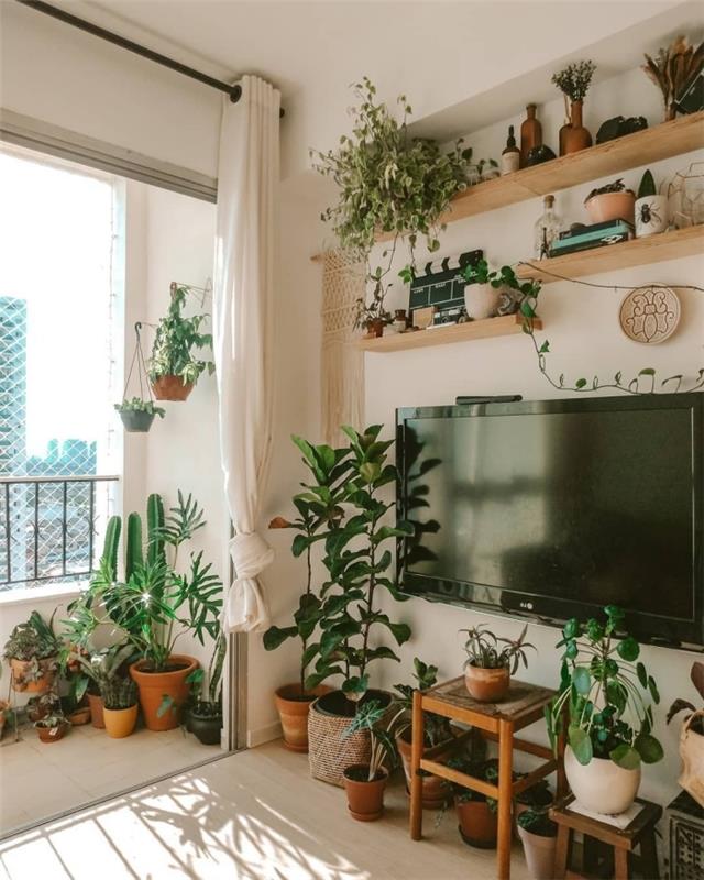 boho tarzı iç tasarım dekor duvar tv kapağı arkasında asılı raf makrome bitki