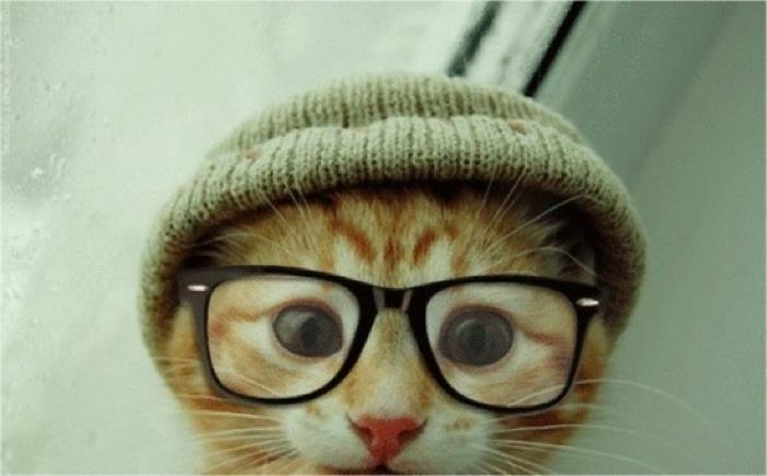 hipster-style-for-hipsters-ideas-catton-outfit