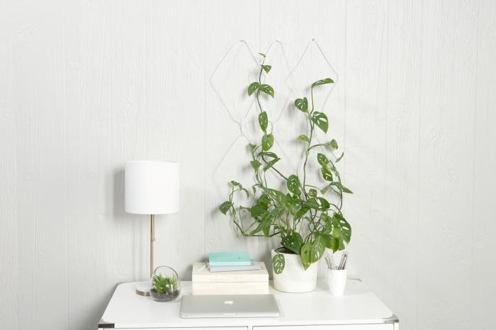 minimalistični slog shranjevanje domače pisarne bela svetilka deco sobna rastlina grillage monstera