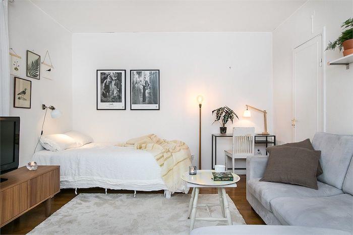 Skandinaviško stiliaus dekoras su pilka sofa ir balta lova, juodai balta paveikslo rėmo siena, medinė televizoriaus spintelė, šviesiai pilkas kilimas