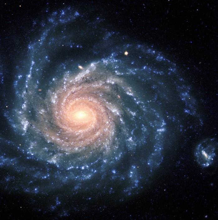 pakeistas galaktikos-spiralės formos-fibonacci-sekos dydis