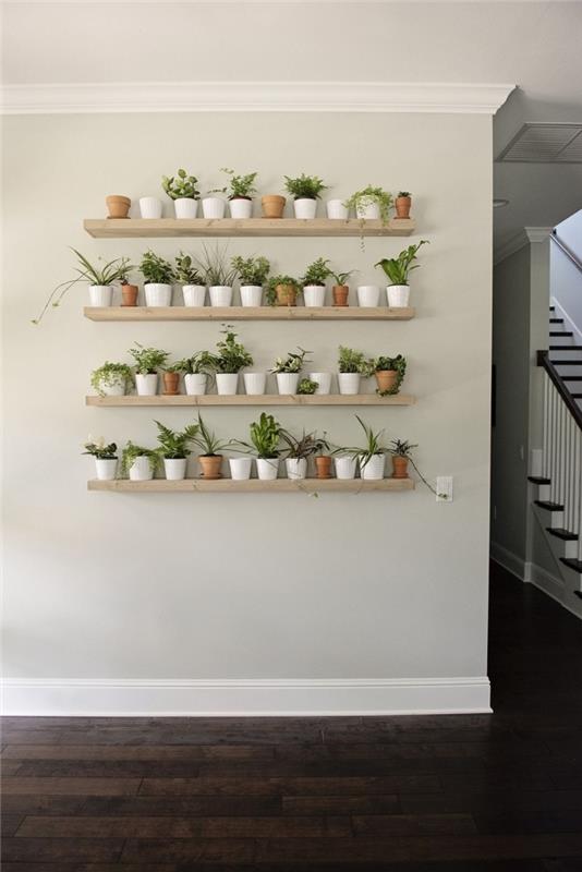 sieninis stovas kambarinių augalų dekoravimui prieškambaris su augalų sienų laikymo vazonėliais