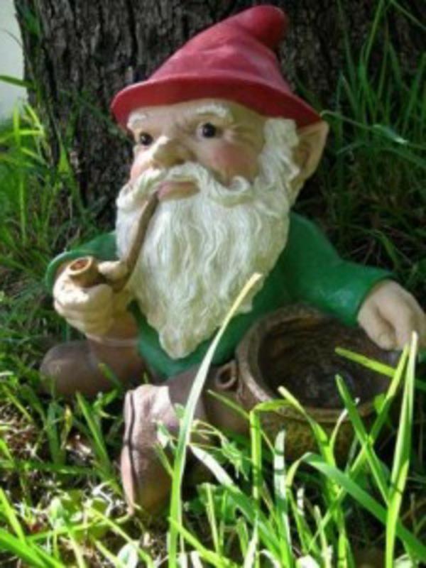 nice-garden-gnome