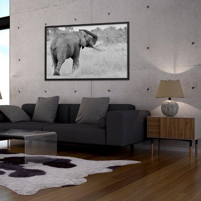 Afrika fili, endüstriyel dekor aksanlı gri ve beyaz bir oturma odasında resmi duraklatıyor.