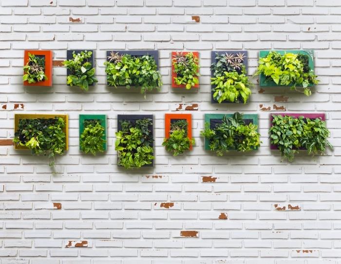izvirna ideja za uresničitev miniaturnega navpičnega vrta za zunanjost ali notranjost, barvanje rastlin v lepem kontrastu z belo opečno steno