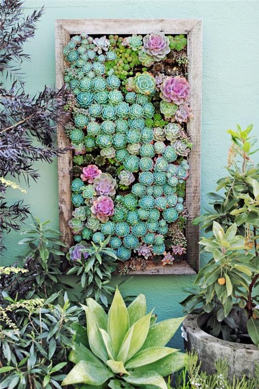 rastlinska slika z različnimi sočnimi rastlinami, pritrjena na steno vrta ali terase, da ustvari lepo oazo zelenja