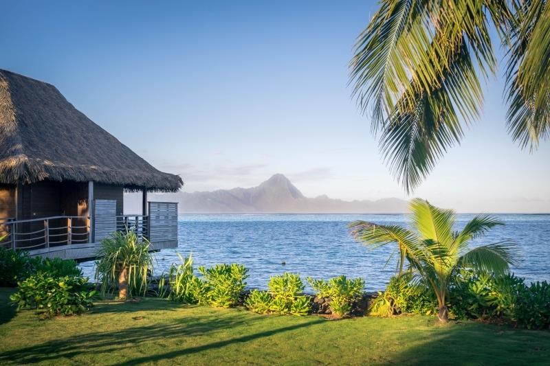 tahiti prancūzų salos pasaulyje velėnos namai ant pilotų palmių paskirties