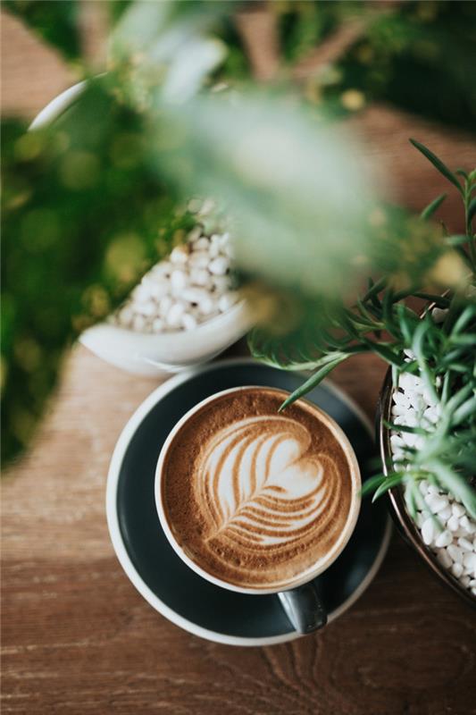 Cappuccino kahve ve yeşil bitkiler, romantik çift güzel aşk resmi fotoğrafla aşkı nasıl gösterir