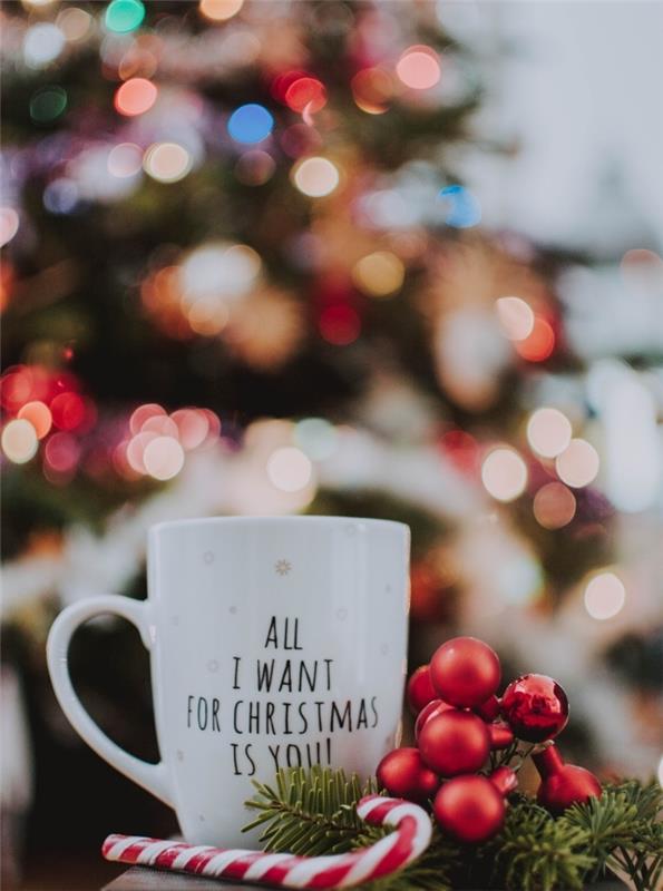 raudonos ir baltos eglutės raštas su šviesia girlianda, kokonuojantys kalėdiniai tapetai su linksmų Kalėdų puodeliu