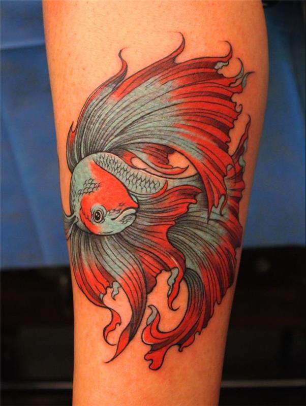 dövme sazan japon balığı koi dövmesi kırmızı buzağı