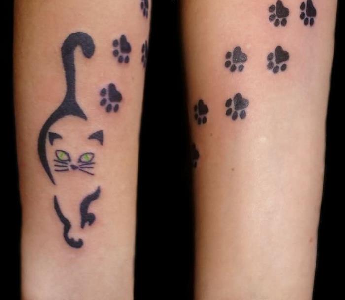 mačja tetovaža, črna mačka z zelenimi očmi, okoli nje več tac