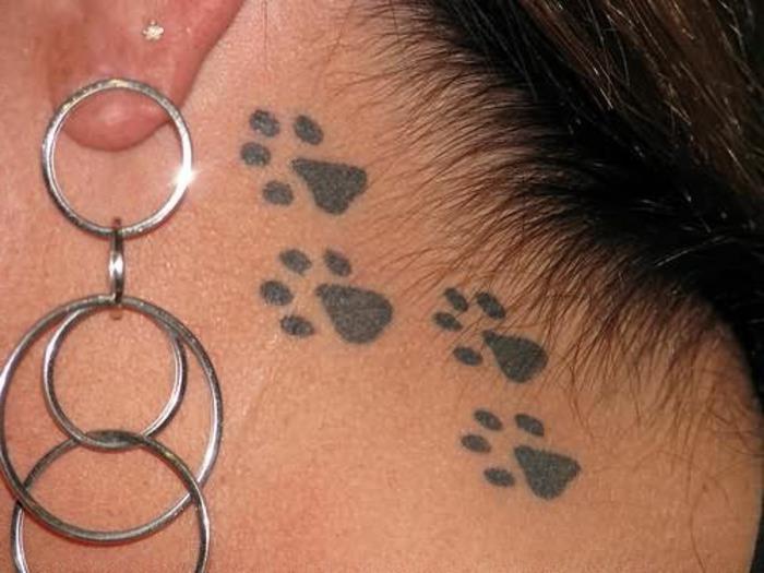 mačja tetovaža, mačje tace za ušesom, viseči uhani