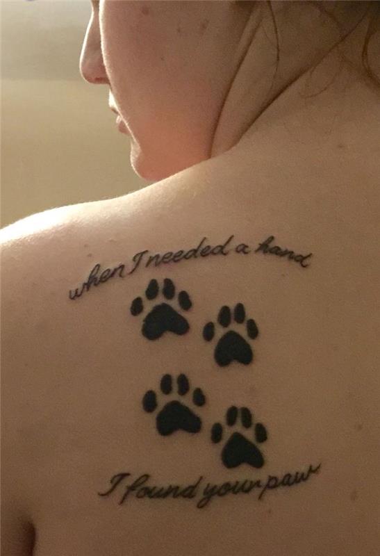 mačka tatu tetovaža lopatica ženska tetovaža mačka vzorec risanje mačk
