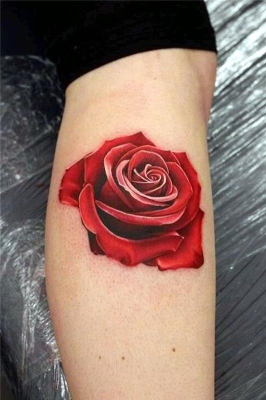 molet tattoo, pisana ženska tattoo ideja, cvetoča vrtnica v rdeči barvi, črne gamaše