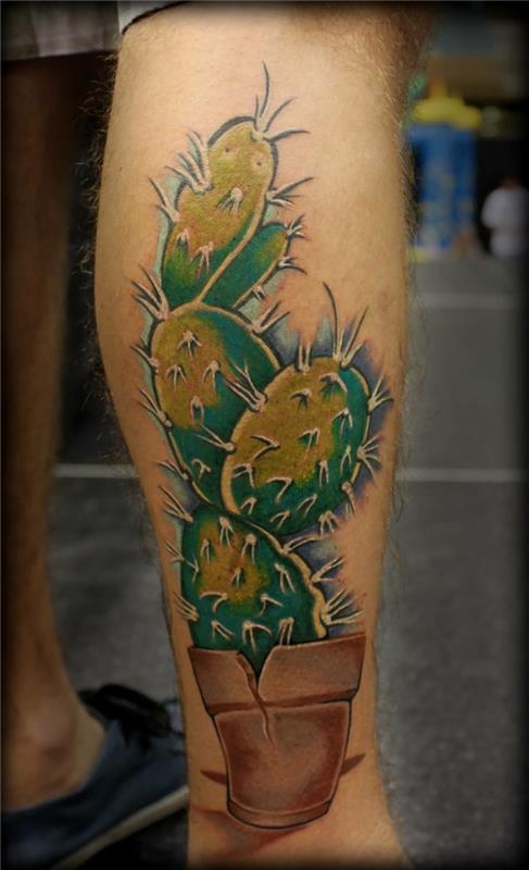 žmogaus blauzdos tatuiruotė, kaktusas žaliai ir geltonai, didelės adatos ir sudaužytas puodas