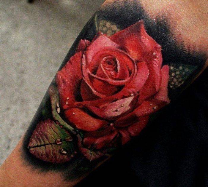 stara šola tetovaža vrtnic, kapljice vode na listih, cvetoča vrtnica, oblikovanje tetovaže
