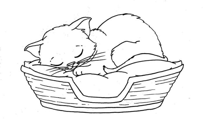 sevimli kolay kedi çizimi yapma fikri, dokuma sepet yatakta uyuyan kedi ile beyaz ve siyah çizim şablonu