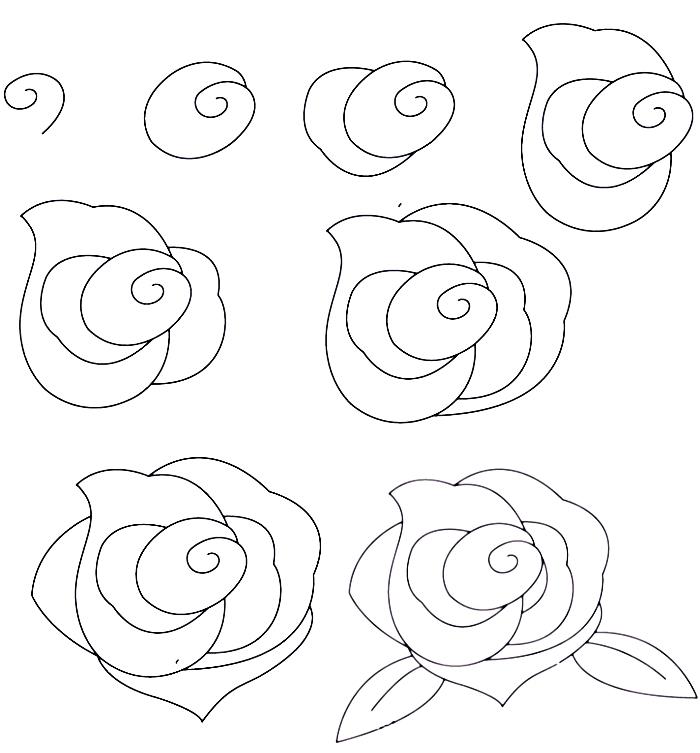 vadnica, če želite izvedeti, kako enostavno narisati odprto vrtnico z listi, risbo belega in črnega svinčnika