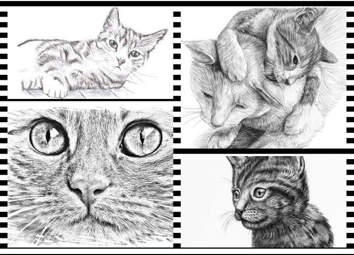 kolay kedi çizimi yapmayı öğrenin, yeni başlayanlar ve profesyoneller için sevimli karakalem şablonları