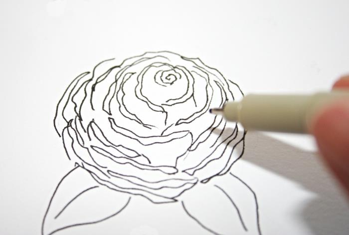 zamisel, kako narediti enostavno belo in črno vrtnico, enostavno reproducirano predlogo za risanje, primer odprte vrtnice z listi