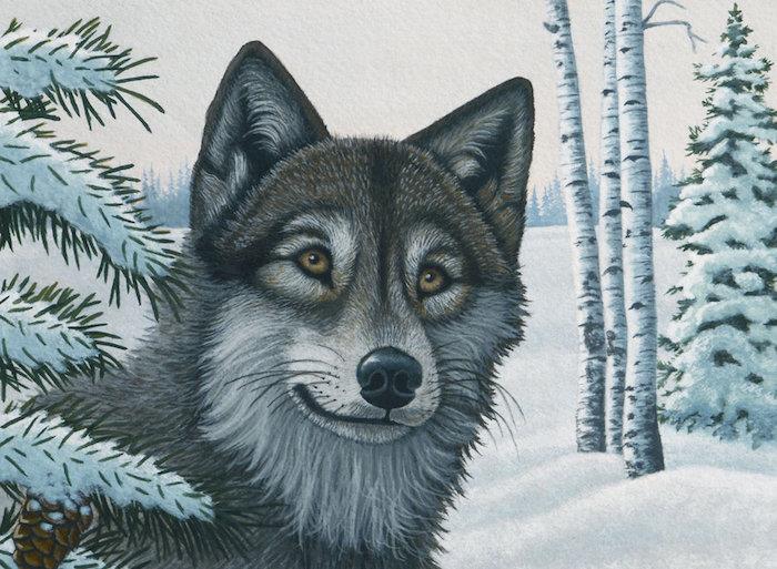 portret polarnega volka na zasneženem ozadju gozda pozimi, kako narisati volčjo glavo