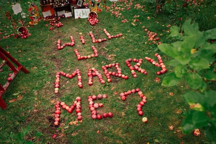 idejno sporočilo za poroko želim, da se poročiš z mano napisano v rdečih jabolkih na trati na vrtu, idejni predlog jeseni