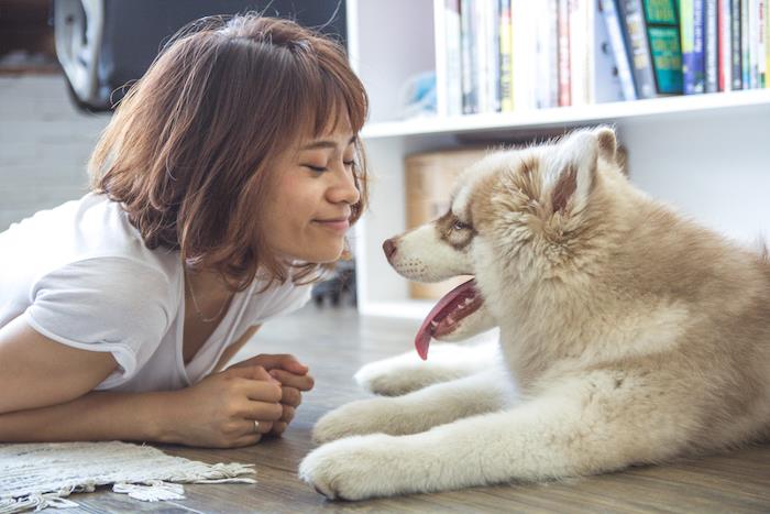 Iphone 6 duvar kağıdı yağma duvar kağıdı veya bilgisayar duvar kağıdı kız ve köpeği