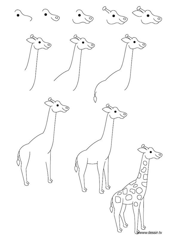 risba fotografije na črto, kako narisati žirafo, korak za korakom, vadnica sam, črno -bela skica