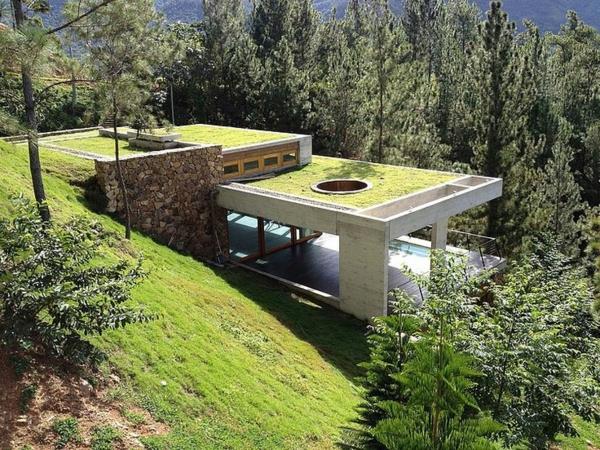 yeşil-çatı-yeşil-biyoklimatik-mimari