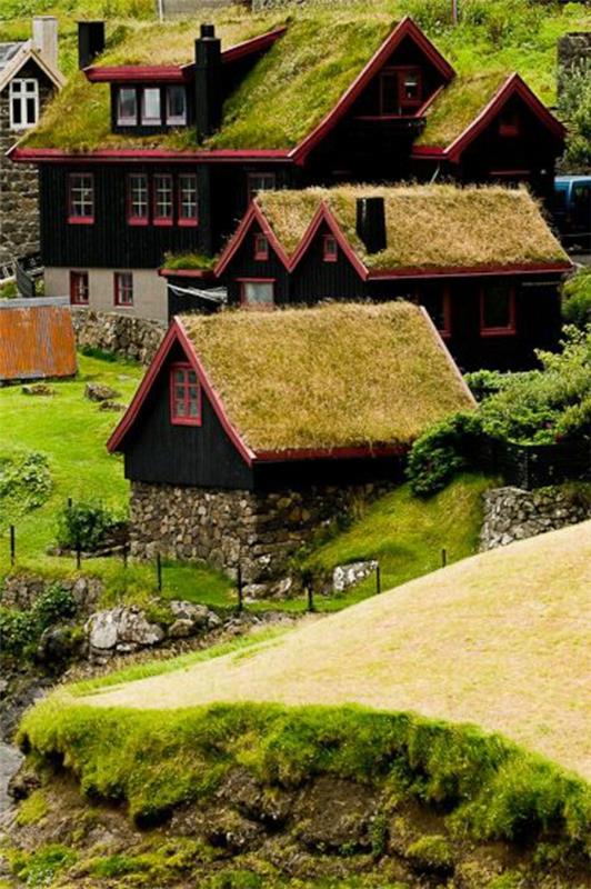 yeşil-çatı-muhteşem-dağ evleri