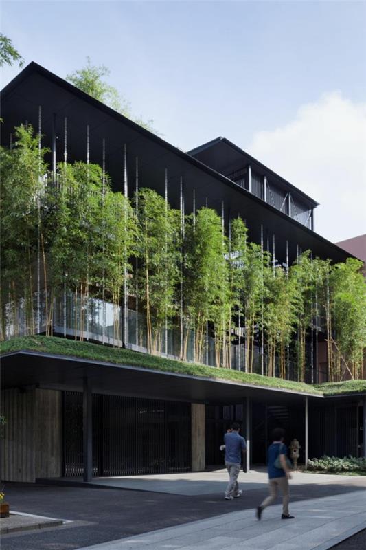 yeşil-çatı-benzersiz-yeşil-mimari-fikirleri