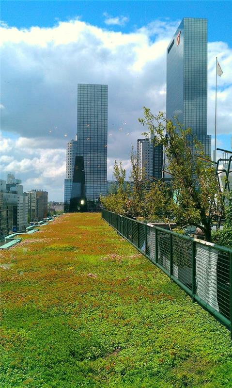 yüksek binada yeşil çatılı bahçe
