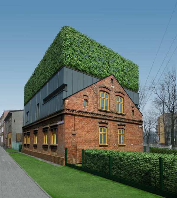 yeşil çatılı-güzel-ekolojik-evler