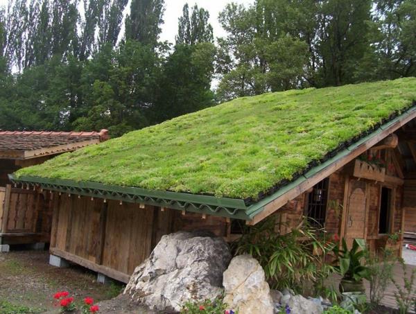 yeşil-çatı-küçük-yeşil-kulübe