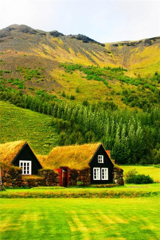 yeşil-çatı-küçük-sera-evler
