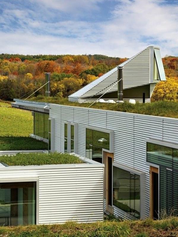 kübik evler için yeşil çatı