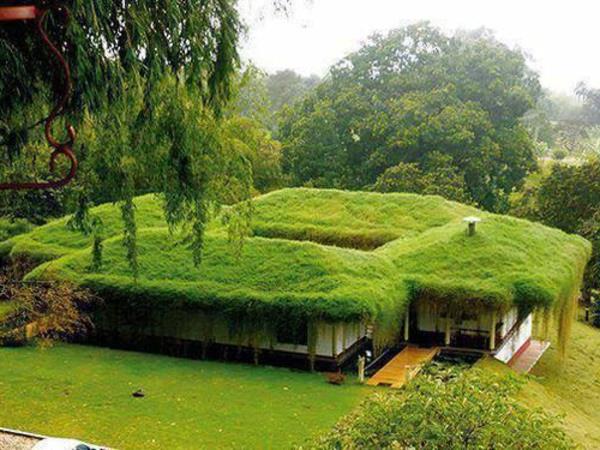 yeşil-çatı-etkileyici-çatı