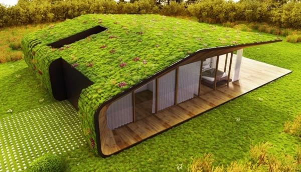 yeşil-çatı-benzersiz-ev-yeşil-çatı