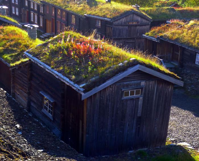 žalias stogas-Norvegijai tinkami namai