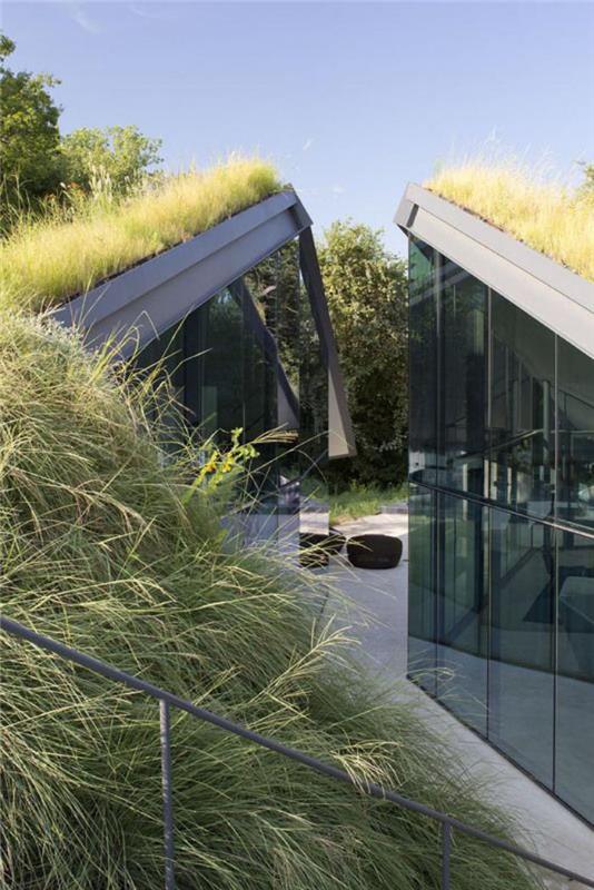 žalias stogas-moderni architektūra-žali stogai