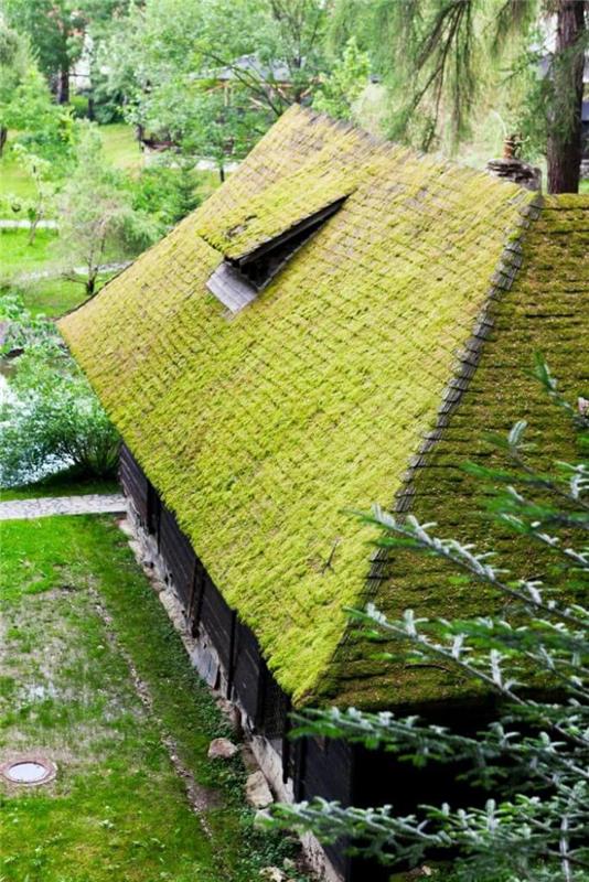 žalias stogas-žalia-architektūra-žalias stogas