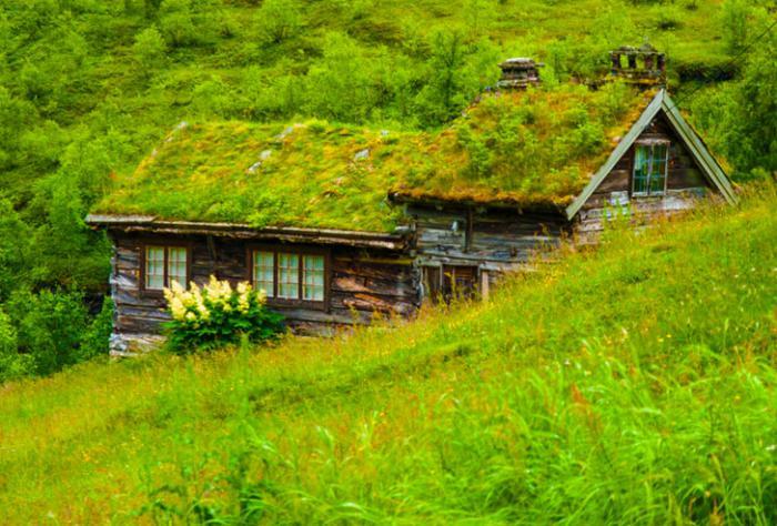 žalias stogas-stebuklingi pastatai kalno viduje