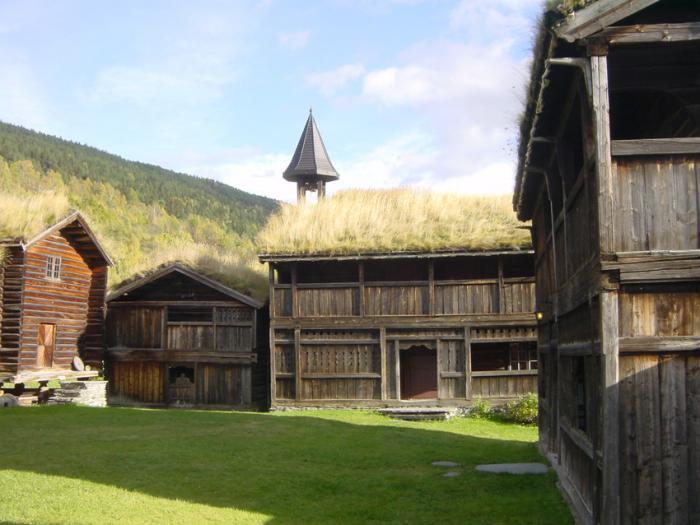 žalių stogų senų ūkių Skandinavijos šalyse