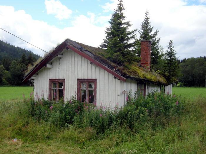 žalias stogas-apleistas namas-žalias stogas