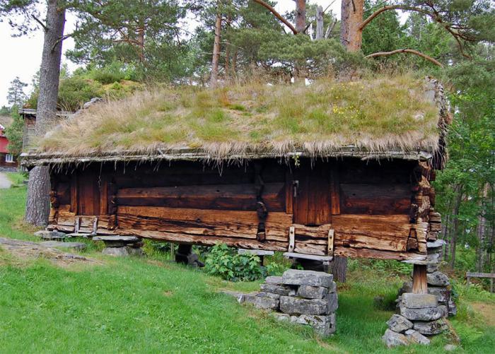 žalias stogas-namas padengtas žaluma