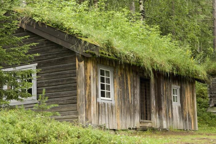 žalias stogas-medinis namelis-žalias-stogas
