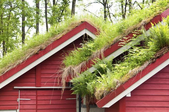 namai su žaliu stogu-su žaliais stogais-Skandinavijos šalyse