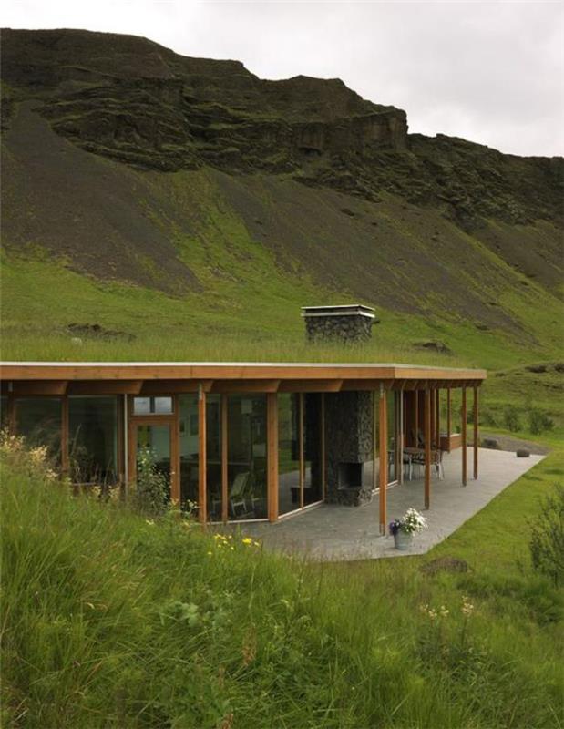namai su žaliu stogu, kurie įsilieja į jų aplinką