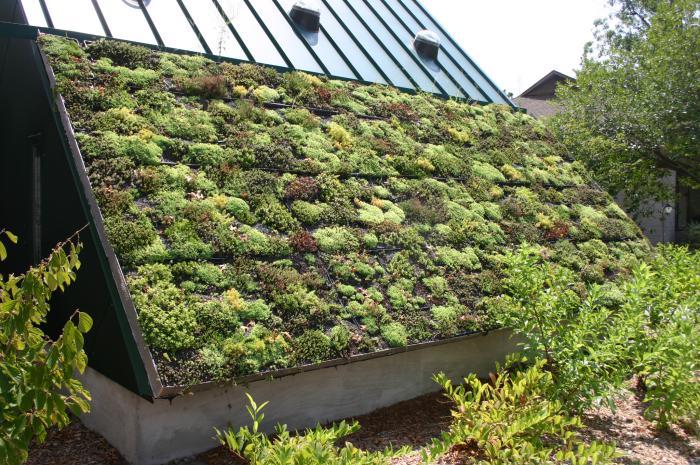 originalus-žalias stogas-pasidaryk-žalias stogas